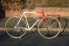 Gazelle Champion Mondial 55cm