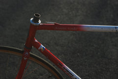 Gazelle Champion Mondial 55cm